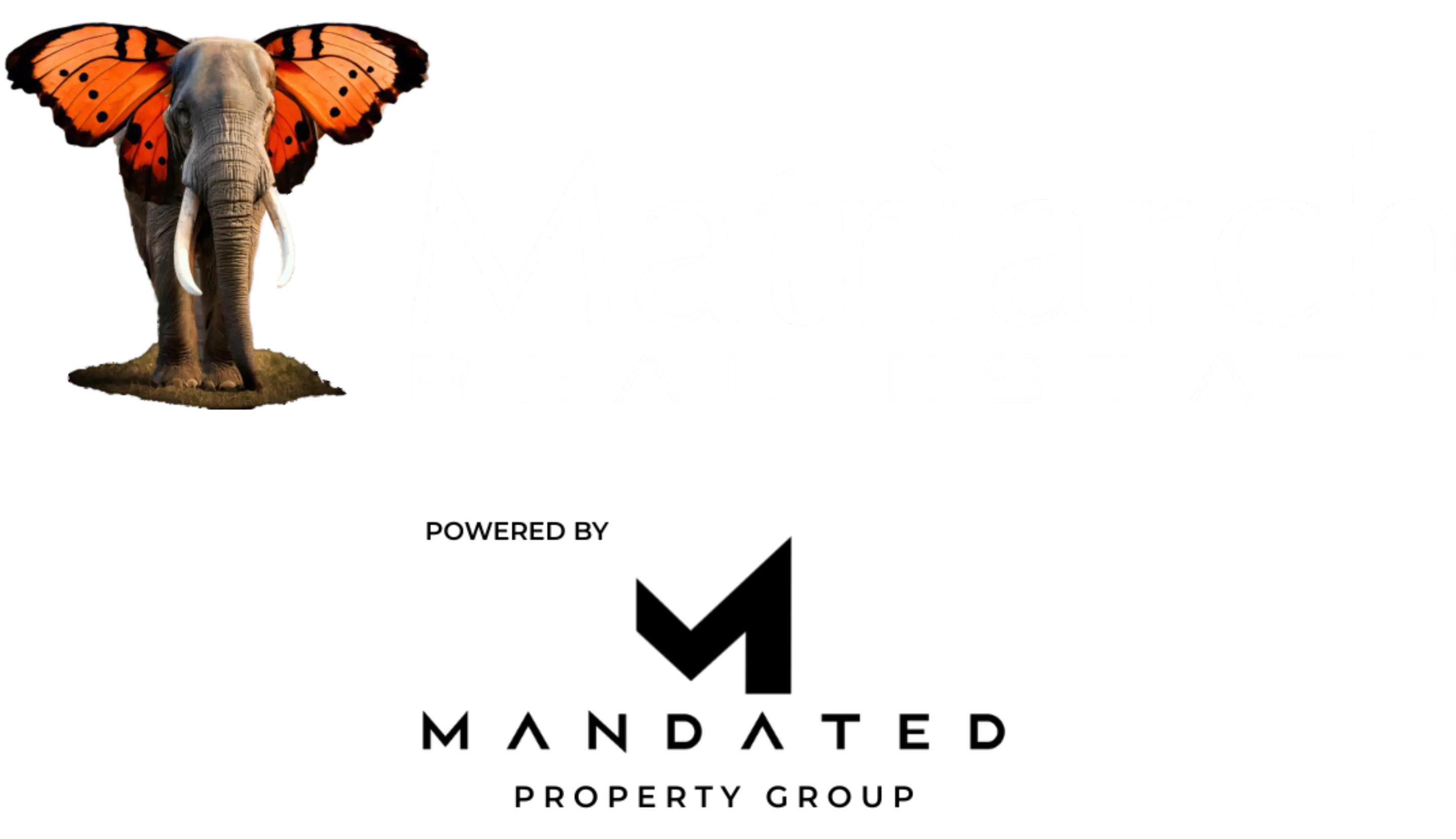Matriarch Real Estate